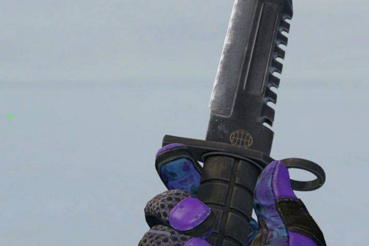 csgo王蛇搭配爪子：恐怖降临