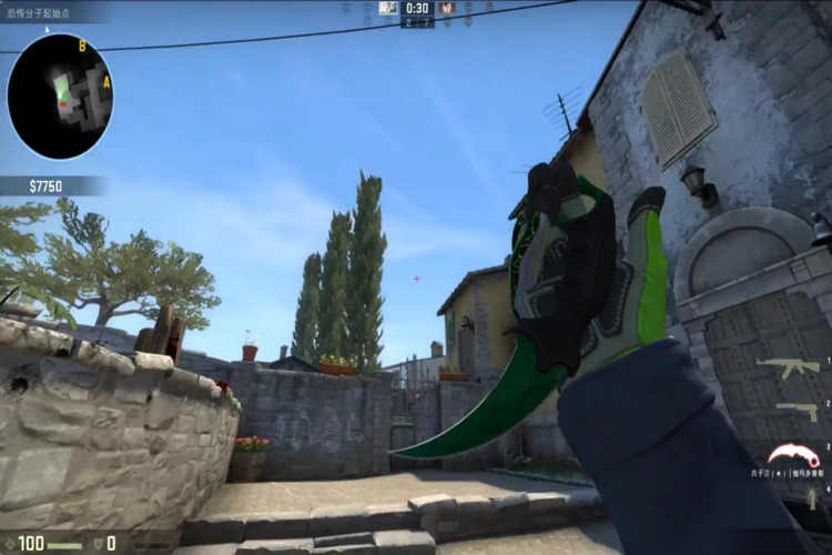 CSGO完美段位显示指南：告别隐藏的段位信息