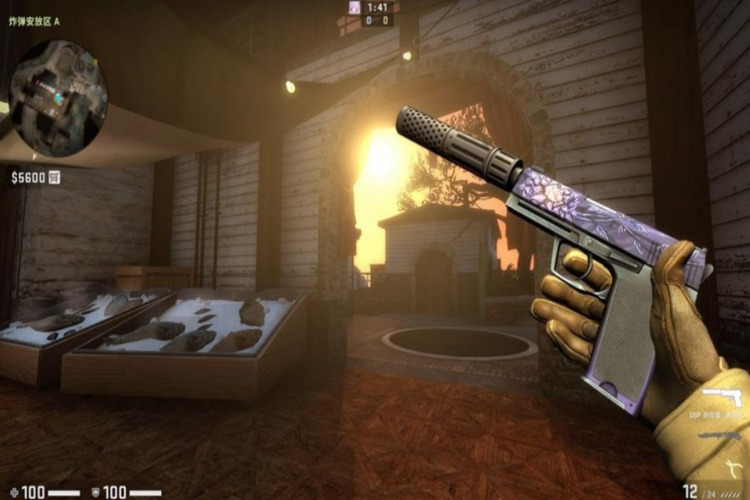 CSGO磨损预测：未来或将是游戏领域的一道奇观