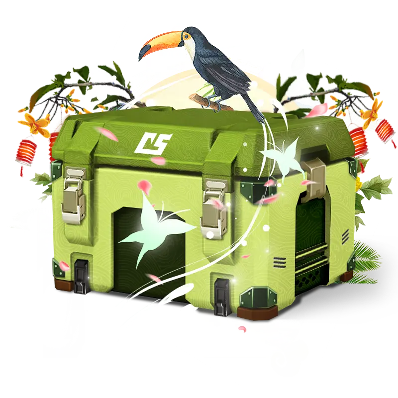 CSGO段位赛:XYG对XXP